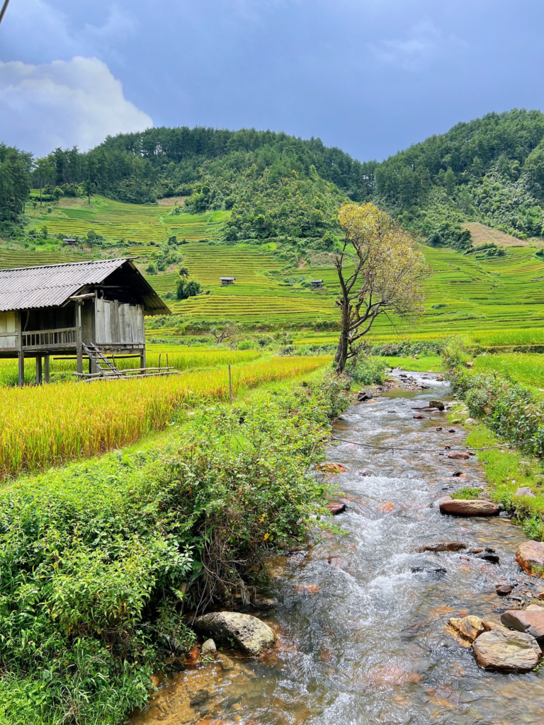 Bản Háng Là